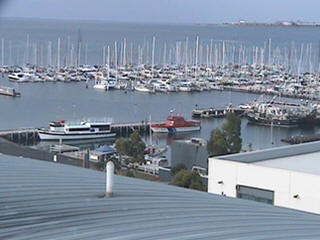 Geelong live web cam