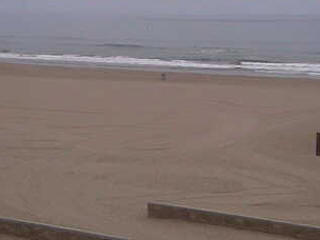 US open surfing championship web cam