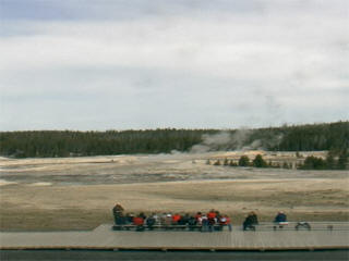 Yellowstone national park webcam